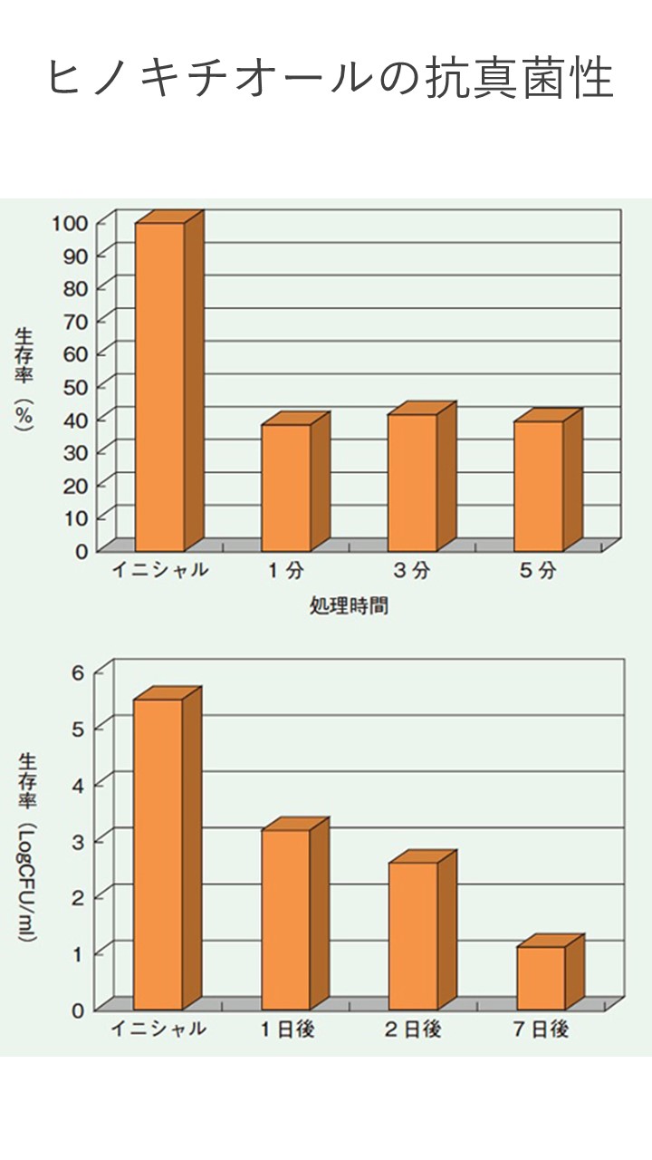 ２８　ヒノキチオールの抗真菌性