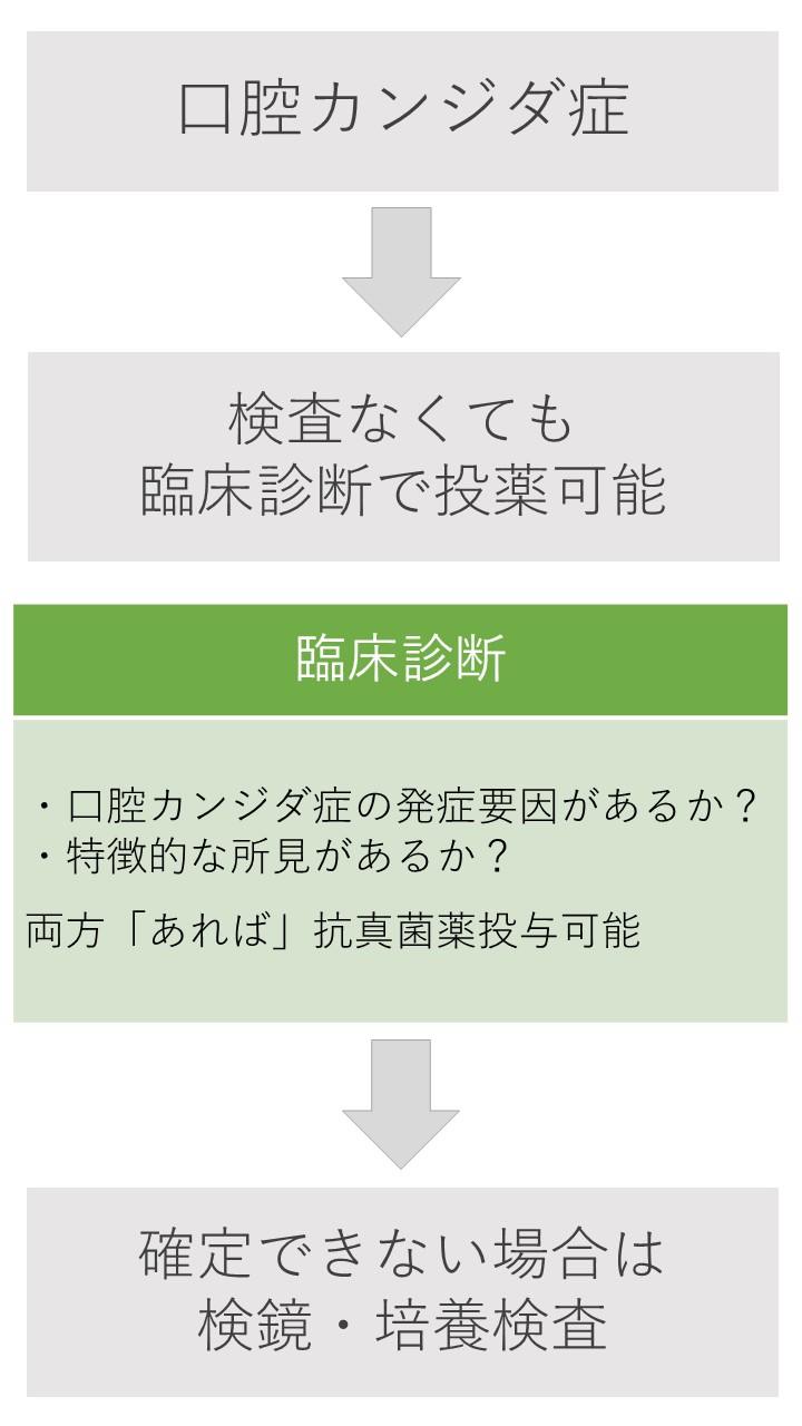 ６　口腔カンジダ症は臨床所見で診断可