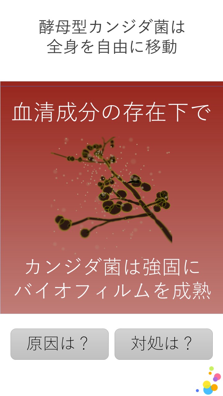 ４　口腔カンジダ症治療 考え方②