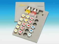 ビタ VMK95 クラシカル6色セット