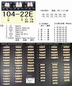 バイオブレンドモールドガイド