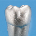 タイポドント用模型歯 [B8-320C]
