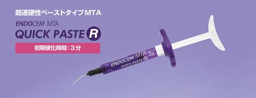エンドセム MTA クイックペースト R