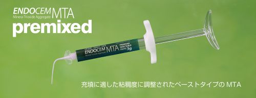 エンドセム MTA premixed