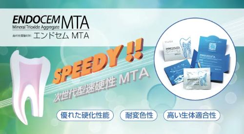 エンドセム MTA