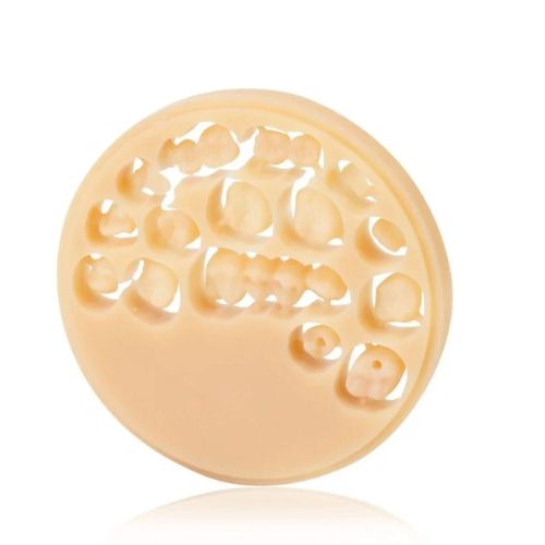 ブリージョ ハイブリッドレジンディスク