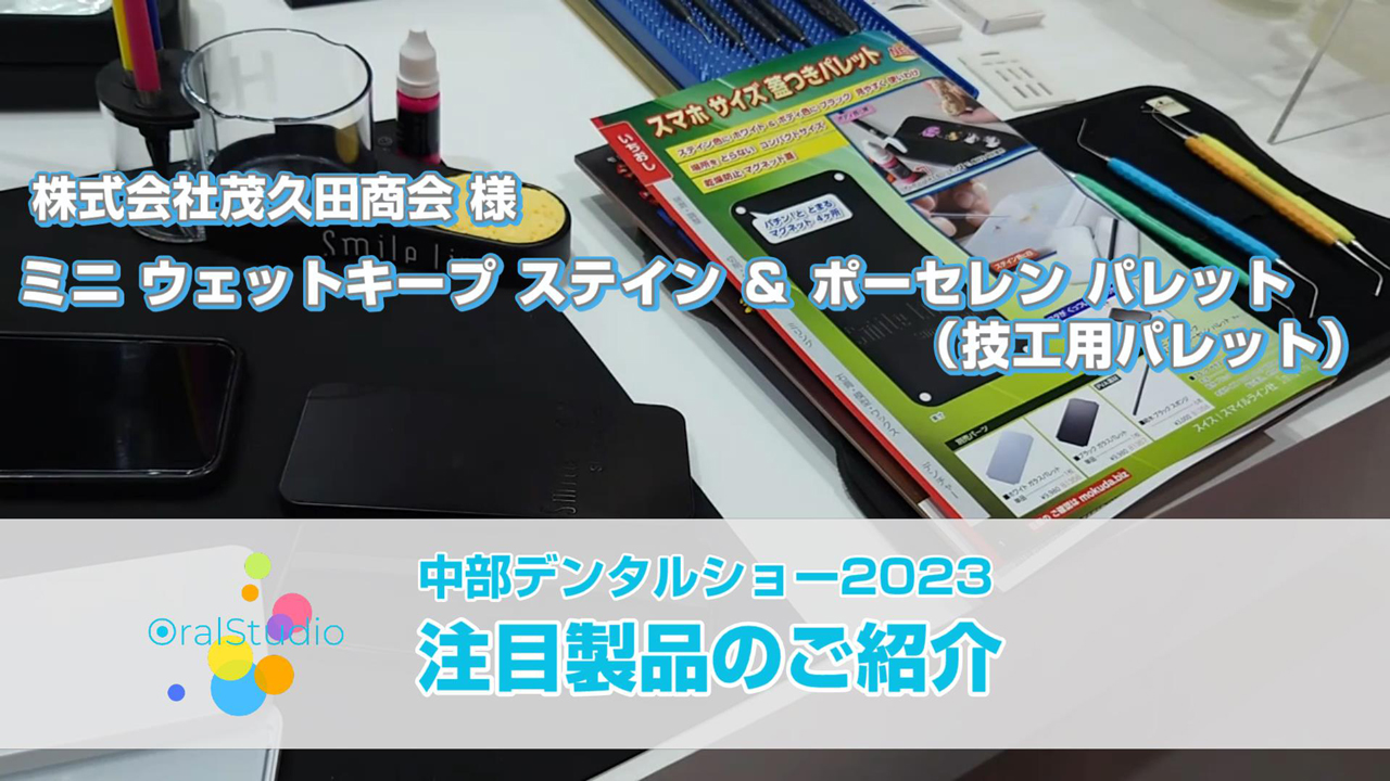 ミニ　ウェットキープ　ステイン＆ポーセレン　パレット